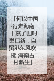 何以中国·行走海南丨燕子归时巢已新：自贸港东风吹拂 海南古村新生