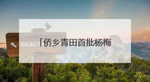 侨乡青田首批杨梅启程新加坡 保鲜提质售出“金果果”
