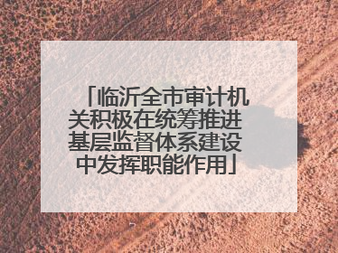 临沂全市审计机关积极在统筹推进基层监督体系建设中发挥职能作用