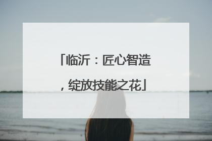 临沂：匠心智造，绽放技能之花