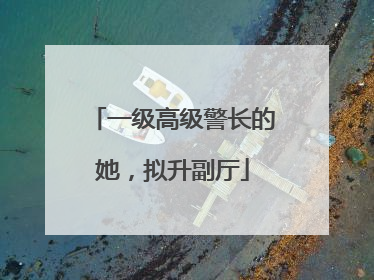 一级高级警长的她，拟升副厅