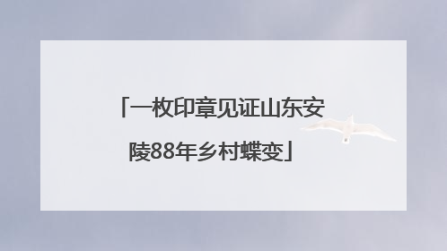 一枚印章见证山东安陵88年乡村蝶变