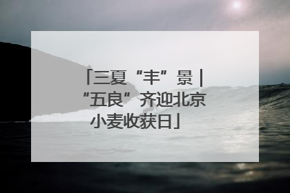 三夏“丰”景｜“五良”齐迎北京小麦收获日