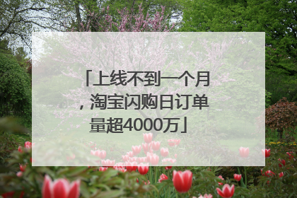 上线不到一个月，淘宝闪购日订单量超4000万
