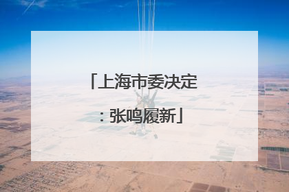 上海市委决定：张鸣履新