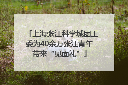 上海张江科学城团工委为40余万张江青年带来“见面礼”