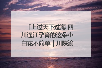 上过天下过海 四川通江孕育的这朵小白花不简单｜川陕渝网络名人巴中行