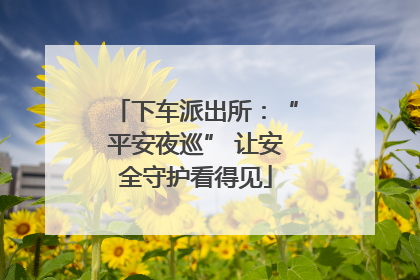 下车派出所：“平安夜巡” 让安全守护看得见