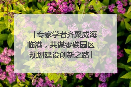 专家学者齐聚威海临港，共谋零碳园区规划建设创新之路