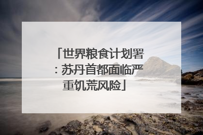 世界粮食计划署：苏丹首都面临严重饥荒风险