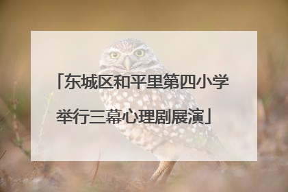 东城区和平里第四小学举行三幕心理剧展演