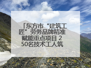 东方市“建筑工匠”劳务品牌精准赋能重点项目 250名技术工人筑牢建设基石