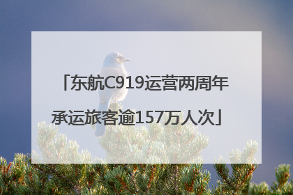 东航C919运营两周年承运旅客逾157万人次