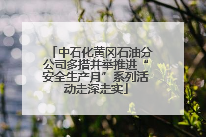 中石化黄冈石油分公司多措并举推进“安全生产月”系列活动走深走实