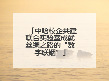 中哈校企共建联合实验室成就丝绸之路的“数字联姻”