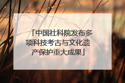 中国社科院发布多项科技考古与文化遗产保护重大成果
