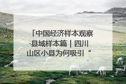 中国经济样本观察·县域样本篇｜四川山区小县为何吸引“村播”扎堆？