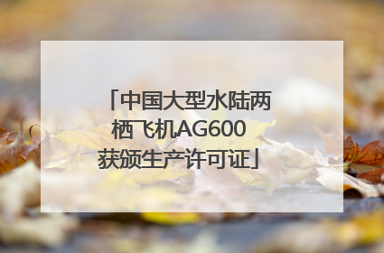 中国大型水陆两栖飞机AG600获颁生产许可证