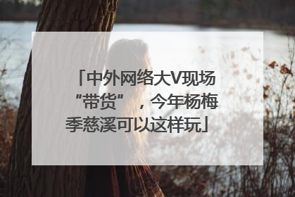 中外网络大V现场“带货”，今年杨梅季慈溪可以这样玩
