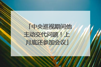 中央巡视期间他主动交代问题！上月底还参加会议