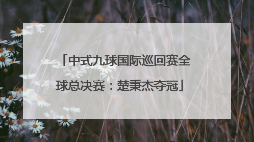 中式九球国际巡回赛全球总决赛：楚秉杰夺冠