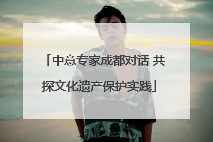 中意专家成都对话 共探文化遗产保护实践