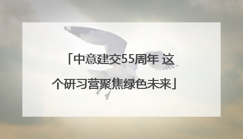 中意建交55周年 这个研习营聚焦绿色未来
