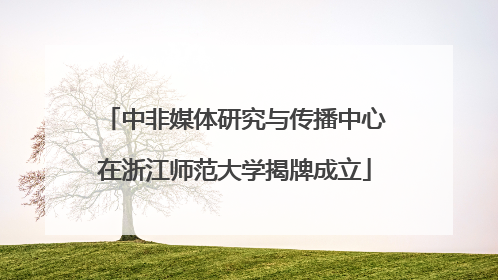 中非媒体研究与传播中心在浙江师范大学揭牌成立