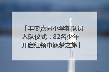 丰奥嘉园小学新队员入队仪式：82名少年开启红领巾逐梦之旅