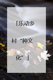 乐动乡村“种文化”