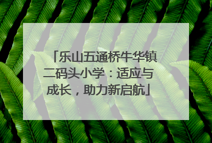 乐山五通桥牛华镇二码头小学：适应与成长，助力新启航