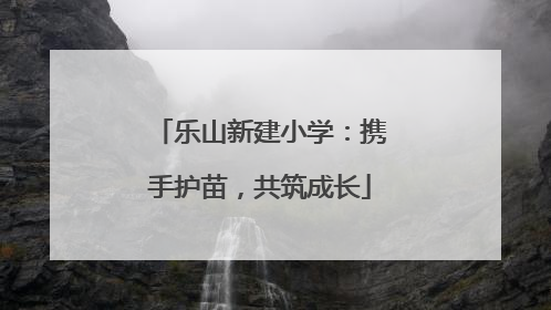 乐山新建小学：携手护苗，共筑成长