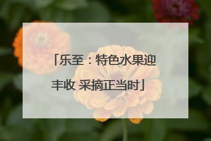 乐至：特色水果迎丰收 采摘正当时