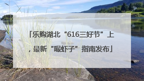 乐购湖北“616三好节”上，最新“嘬虾子”指南发布