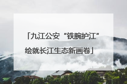 九江公安“铁腕护江”绘就长江生态新画卷