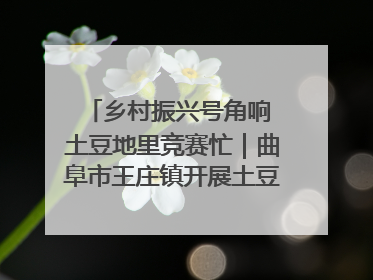 乡村振兴号角响 土豆地里竞赛忙｜曲阜市王庄镇开展土豆收获劳动竞赛