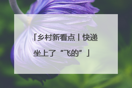 乡村新看点丨快递坐上了“飞的”