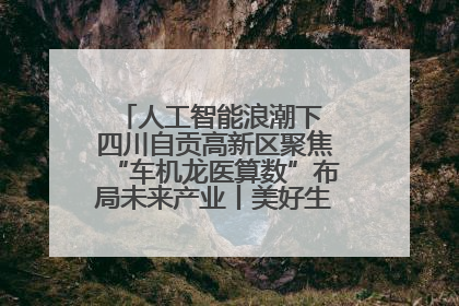 人工智能浪潮下 四川自贡高新区聚焦“车机龙医算数”布局未来产业丨美好生活有“盐”味