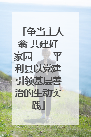 争当主人翁 共建好家园——平利县以党建引领基层善治的生动实践