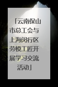 云南保山市总工会与上海闵行区劳模工匠开展学习交流活动