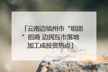 云南边境州市“组团”招商 边民互市落地加工成投资热点
