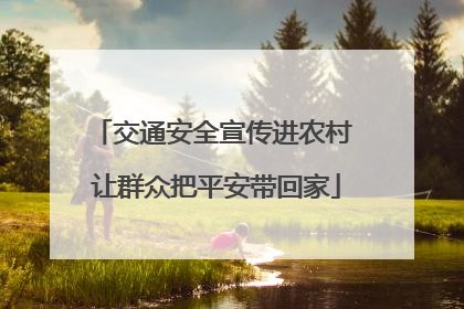 交通安全宣传进农村 让群众把平安带回家