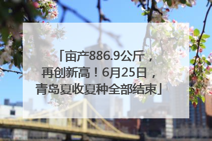 亩产886.9公斤，再创新高！6月25日，青岛夏收夏种全部结束