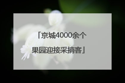 京城4000余个果园迎接采摘客