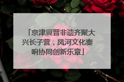 京津冀晋非遗齐聚大兴长子营，凤河文化奏响协同创新乐章
