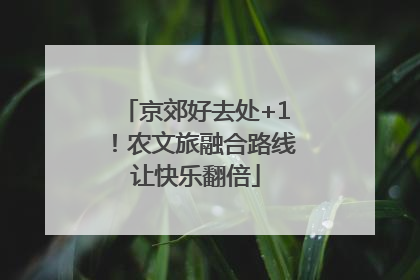 京郊好去处+1！农文旅融合路线让快乐翻倍