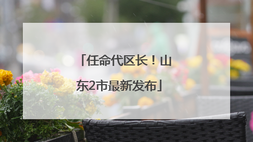 任命代区长！山东2市最新发布