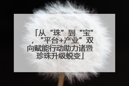 从“珠”到“宝”，“平台+产业”双向赋能行动助力诸暨珍珠升级蜕变