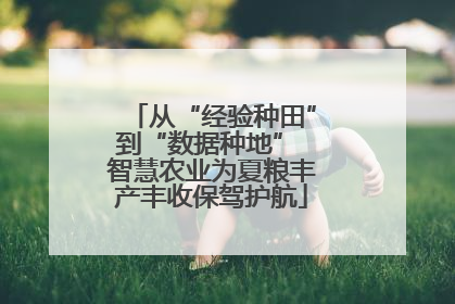 从“经验种田”到“数据种地” 智慧农业为夏粮丰产丰收保驾护航