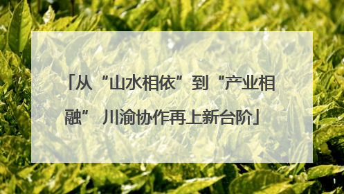 从“山水相依”到“产业相融” 川渝协作再上新台阶